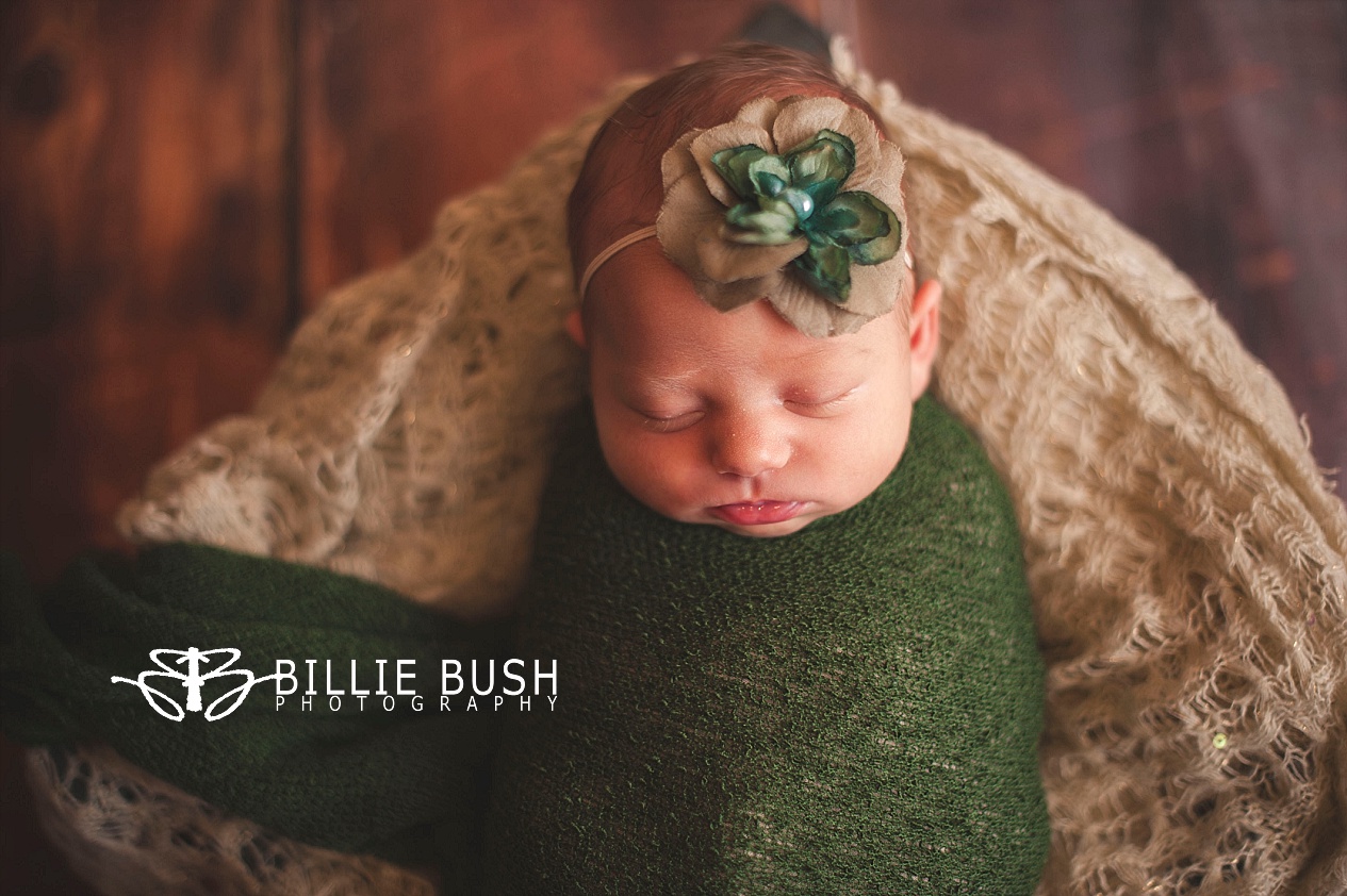 Charlotte {Terre Haute Indiana Newborn Photographer} » Billie Bush